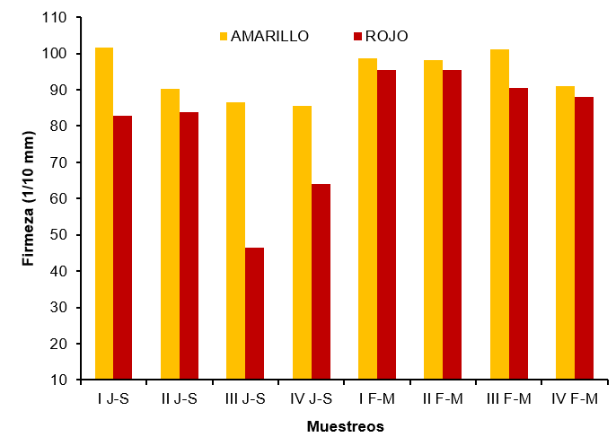 Variaciones en la firmeza de los seudofrutos de merey amarillo y rojo en los diferentes muestreos dentro de pocas de cosecha.
