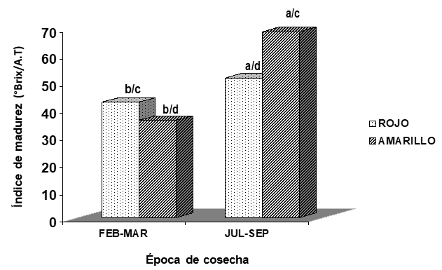 Variaciones del ndice de madurez de los seudo-frutos de merey amarillo y rojo, segn la poca de cosecha.