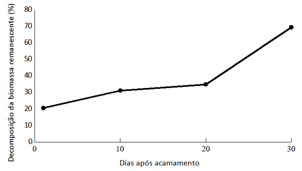 Taxa da decomposi��o da biomassa remanescente (DBR%) durante 30 dias ap�s acamamento de plantas de cobertura de um ciclo de cultivo de SPDH org�nico em Laranjeiras do Sul, PR.