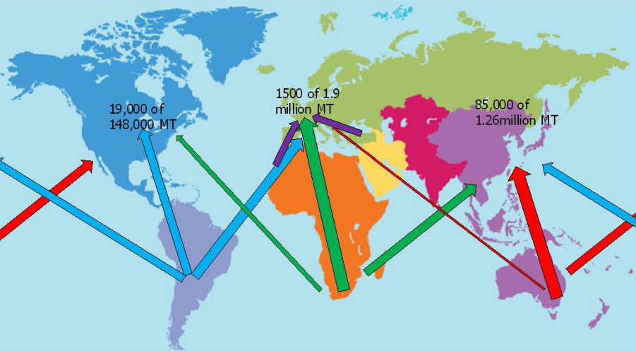 International routes of citrus shipments from production areas to consumer countries