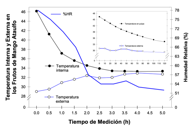 Seguimiento de la temperatura interna y externa de mango Ataulfo despu�s de recibido el tratamiento hidrot�rmico, as� como de humedad relativa (% HR) a diferentes tiempos de medici�n. n=2.
