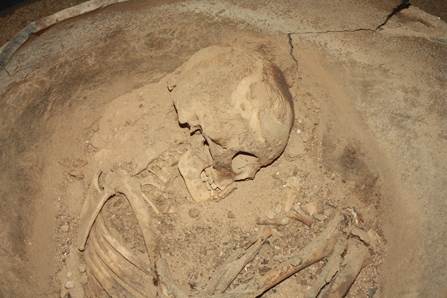 Sepultamento encontrado no Sítio Arqueológico da Toca da Baixa dos Caboclos do acervo do Museu do Homem Americano