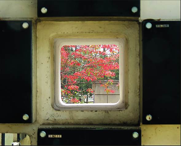 De blanco y negro a color