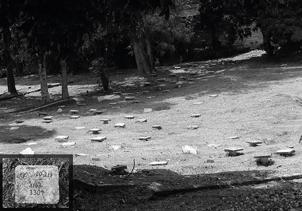 Algo m&aacute;s que n&uacute;meros