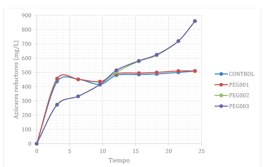 Cin&eacute;tica de la hidr&oacute;lisis enzim&aacute;tica para los tratamientos durante 24 horas