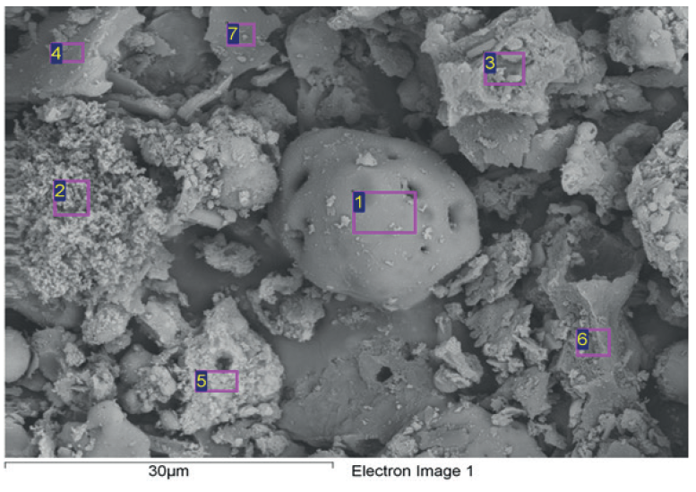 Detalle microscópico de la ceniza