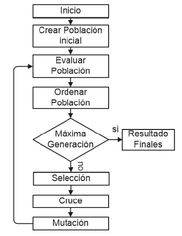 Estructura del algoritmo gen&eacute;tico