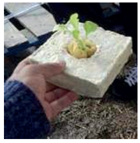 Prototipo de material aglomerado con cobertura de pol�mero org�nico