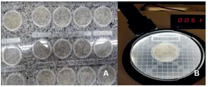 Evaluaciones microbiol�gicas A siembra de muestras en m�todos de cultivo espec�ficos B conteo de colonias