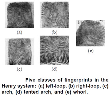 Clasificaci�n de las huellas digitales