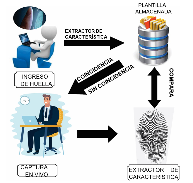La arquitectura de los procesos de un sistema biom�trico