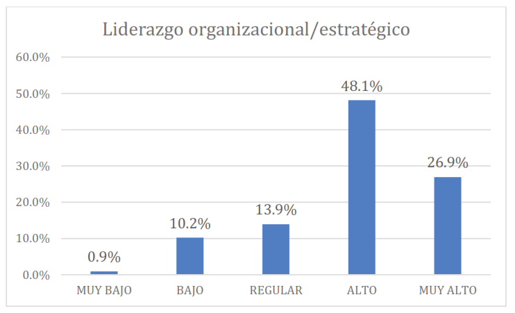 Liderazgo organizacional/estrat�gico