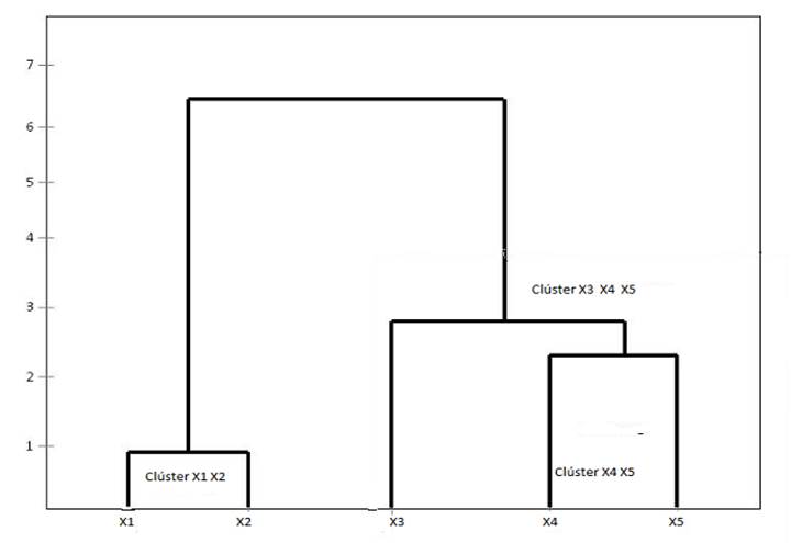 Representaci�n gr�fica de segmentaci�n jerarquizada dendrograma