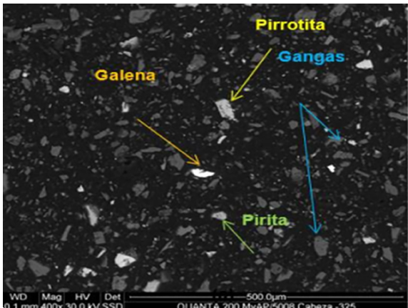 Partículas liberadas de po, py, gn y GGs (aumentado a 400x)