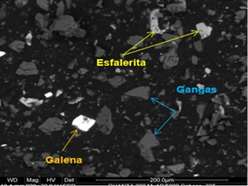 Partículas liberadas de esf, gn y GGs (aumentado a 800x)