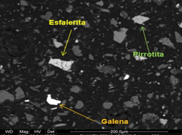 Partículas liberadas de gn, esf y po (aumentado a 800x)