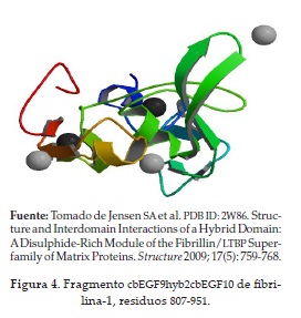 Fragmento cbEGF9hyb2cbEGF10 de fibrilina-1, residuos 807-951.