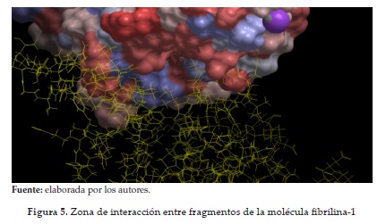 Zona de interacción entre fragmentos de la molécula fibrilina-1