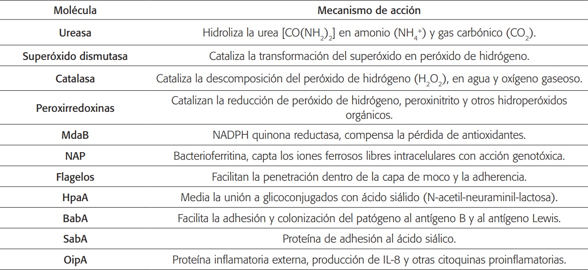 Factores de virulencia asociados con la colonización