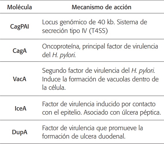Factores de virulencia asociados con eldaño en la mucosa