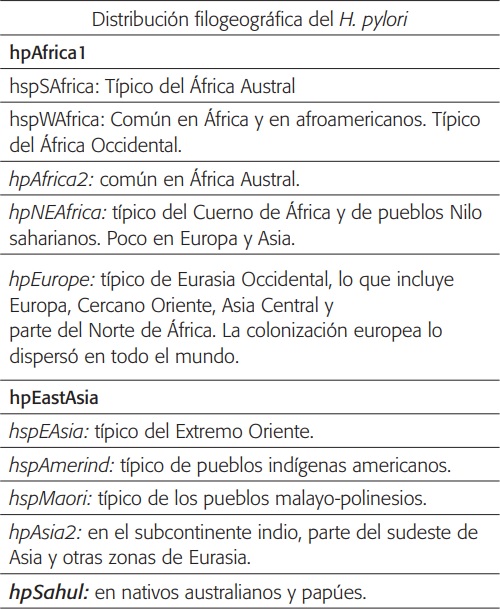 Distribución filogeográfica del H. pylori.Adaptado de Falush D, Stephens M, PritchardJK. Inference of population structure using multilocusgenotype data: Linked loci and correlatedallele frequencies. Genetics 2003;164(4):1567-1587.