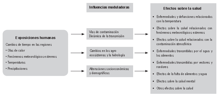 V&iacute;as por las que el cambio clim&aacute;tico afecta a la salud humana