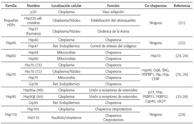 Clasificaci&oacute;n de las familias de las prote&iacute;nas de choque t&eacute;rmico (HSPs)