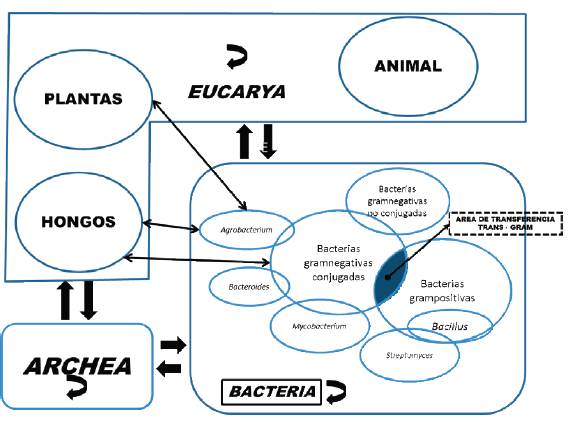Evolution of antibiotics synthesis