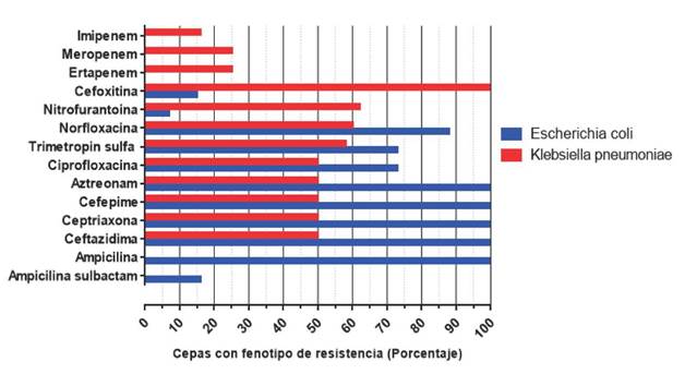 Fenotipos de resistencias (porcentaje) en cepas Gram negativas