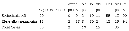 Caracterizaci&oacute;n molecular de los genes en cepas Gram negativas