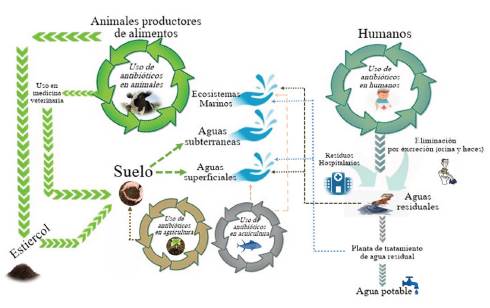 Usos y destinos finales de los antibi&oacute;ticos