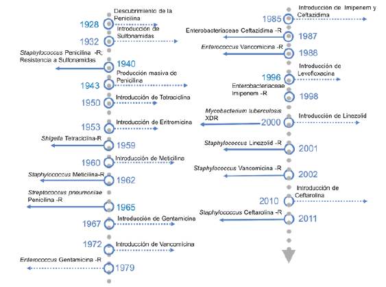 Evoluci&oacute;n de los antibi&oacute;ticos y su resistencia. R: resistente; XDR: extremadamente resistente