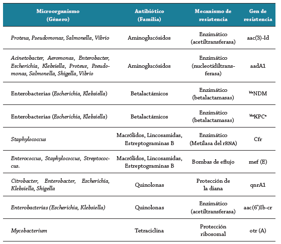 Ejemplos de genes de resistencia adquiridos por microorganismos de inter&eacute;s cl&iacute;nico. Adaptaci&oacute;n de Van Hoek et al. 67