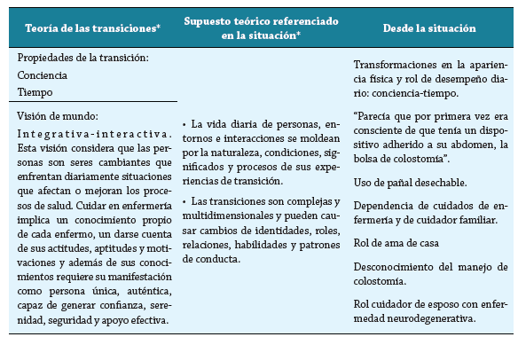 Propiedades de la transición y contraste de la situación de cuidado de la persona objeto de cuidado