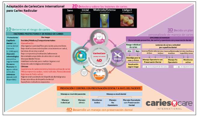 Ciclo 4D de CCI adaptado a caries radicular. Esquema del ciclo 4D CCI que incluye la determinaci&oacute;n del riesgo(ID), la detecci&oacute;n y valoraci&oacute;n de las lesiones(2D), involucra un proceso de an&aacute;lisis que se consolida en la decisi&oacute;n de un plan de manejo personalizado(3D) y finaliza con desarrollo de las opciones de manejo establecidas a nivel del paciente y a nivel dental (4D), adaptado, con permiso de Martignon et al., 2019