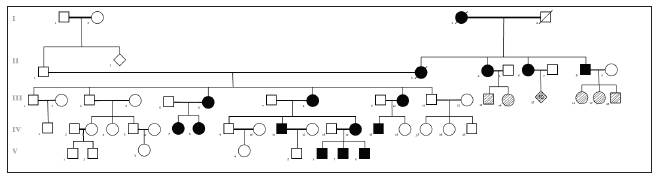 Genealog&iacute;a del grupo familiar, siendo la paciente III.8 el caso &iacute;ndice (flecha). Se evidencia car&aacute;cter dominante de la enfermedad por el n&uacute;mero de individuos afectados y patr&oacute;n de herencia. Las figuras en negro representan los pacientes con diagn&oacute;stico confirmado por prueba molecular o muy alta sospecha por niveles de LDL en sangre. Las figuras con patr&oacute;n de cebra representan pacientes posiblemente afectados, sin embargo, no existen datos confirmatorios