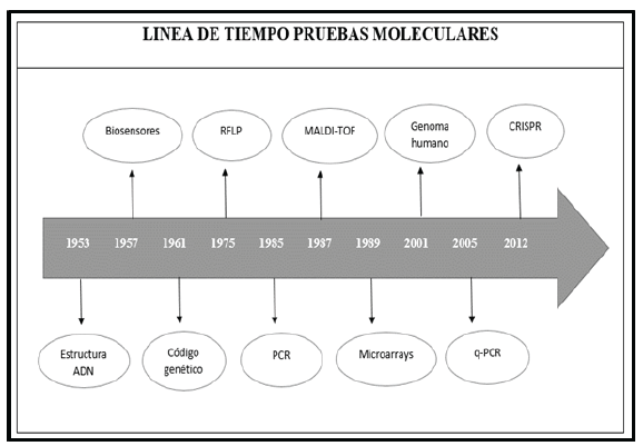 Línea de tiempo de las pruebas moleculares más relevantes a través de la historia. 1953: se realiza el descubrimiento de la estructura de ADN. 1957: se utilizan por primera vez los biosensores. 1961: se descifra el código genético. 1975: se da inicio a ensayos con la técnica RFLP (Polimorfismos de fragmentos de restricción). 1985: Kary Mullis inventa la técnica de biología molecular PCR (Reacción en Cadena de la Polimerasa). 1987: Se desarrolla la técnica MALDI-TOF en Japón. 1989: se realizan los primeros ensayos con Microarrays. 2001: se descubre el 99 % del genoma humano. 2005 se avanza en variantes de la PCR como la qPCR (Reacción en Cadena de la Polimerasa en tiempo real). 2012: desarrollo de la técnica CRISPR.