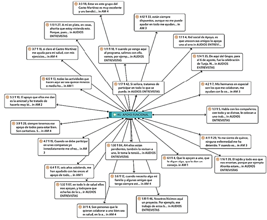 Red social de apoyo funcional