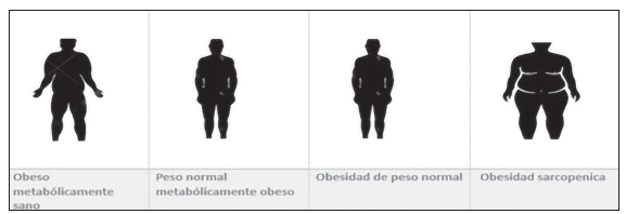 Fenotipos metab�licos de la obesidad