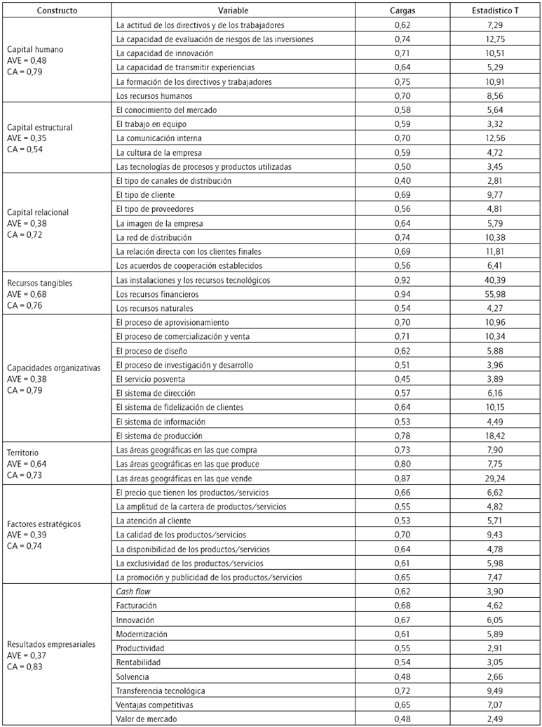 Efectos y caracterizaci&oacute;n de los constructos