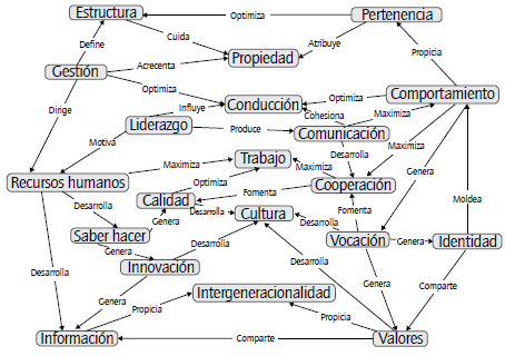 Red semántica de los comentarios de las entrevistas. Fuente: elaboración propia.