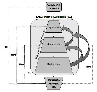 Fases e interacciones del proceso de absorci&oacute;n y su incidencia en el desempe&ntilde;o absortivo. 