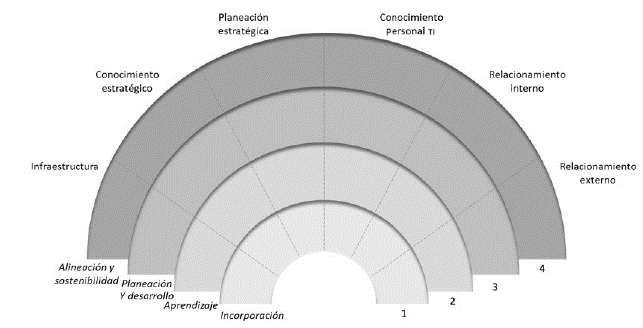 Niveles de madurez de la capacidad de ti. 