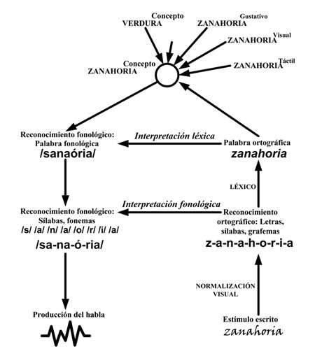Las rutas de la lectura 