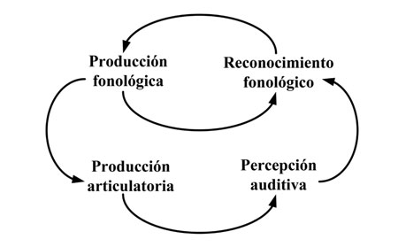 Circuito del habla interna