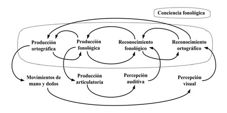 Circuito de la lectoescritura interna 