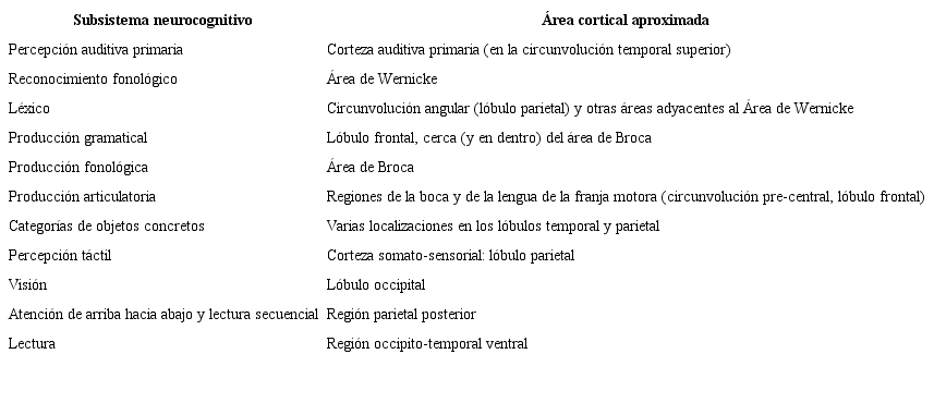 Localizaciones corticales aproximadas de algunos subsistemas neurocognitivos