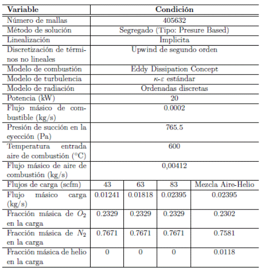 Condiciones de fronteras y modelos empleados en las simulaciones numéricas