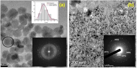 Imagen TEM de NPM sintetizadas por (a) co-precipitaci&oacute;n qu&iacute;mica (Inset: superior: Histograma de di&aacute;metros con ajuste gaussiano y lognormal. Inferior: transformada de Fourier de la imagen), (b) descomposici&oacute;n t&eacute;rmica (Inset: difracci&oacute;n de electrones de la imagen).