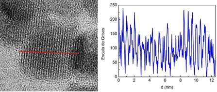 Imagen TEM de NPM sintetizadas por co-precipitaci&oacute;n qu&iacute;mica donde se observan los planos cristalinos, las distancias entre planos (d) se presentan en la parte derecha de la figura.